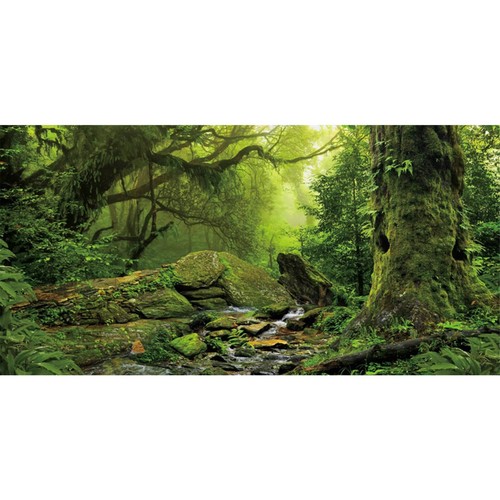 Tropical forest terrarium - tropical,