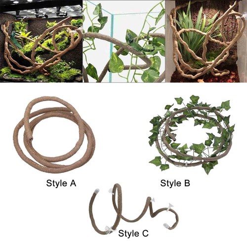 Terrarium reptile vines jungle - reptile,