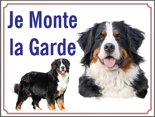 Attention chien je - attention, monte