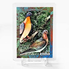 PASSENGER PIGEONS 1907 Illustration Card 2024 GleeBeeCo Holographic #PS19