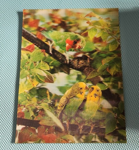 Antique pericos lenticular - pericos,