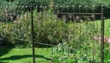 Grille en fer forgé