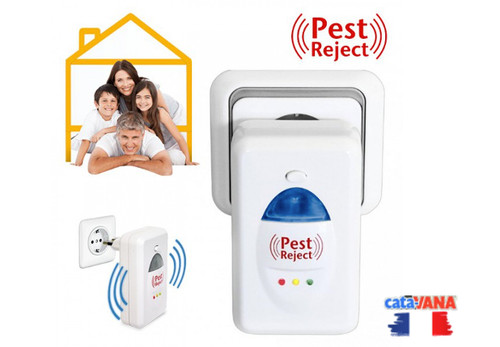 Prise anti souris - prise, rongeur