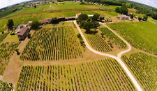 Clos Mercier - Grand Cru _ Millésime du siècle 1955 _ Sauternes 5*