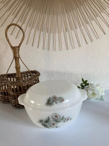 Ancienne cocotte plat - 20⚜️,