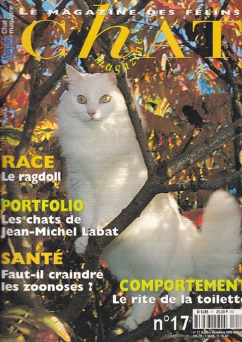 Atout chat ragdoll - atout, le