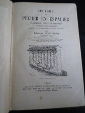 Jardin ! Culture du pêcher en
