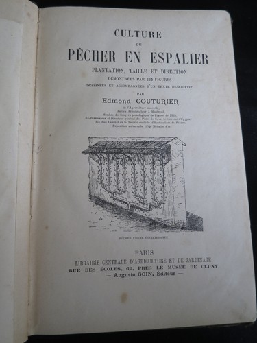 Jardin culture pêcher en - jardin,