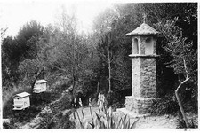 MIKIBP2-061- 13 AIX EN PROVENCE HIVES BEEKEEPER ORATORY PH CARD