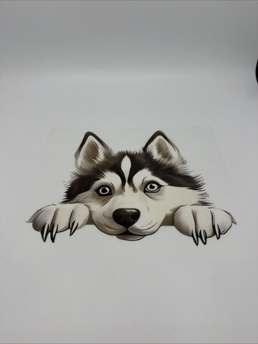 Autocollant husky chien - husky,