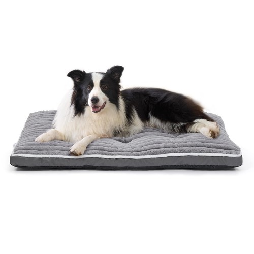 Panier chien taille moyenne - chien,