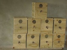 3 nid calopsite, kakariki