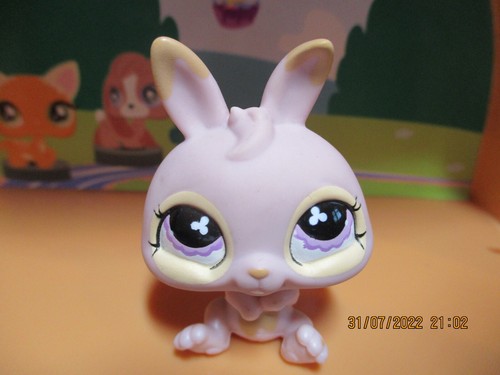Petshop lapin nain 667 avec - #667,