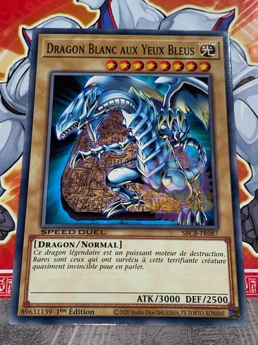 Carte dragon blanc - carte, gi
