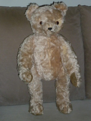 Ancien ours nounours - ours, peluche