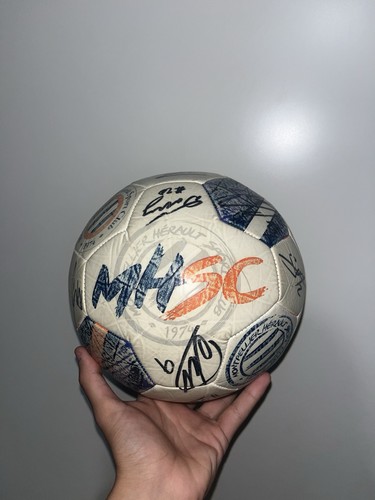 Palladin ballon football - palladin, de