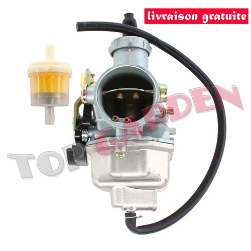 Carburateur pz30 filtre - pz30, à
