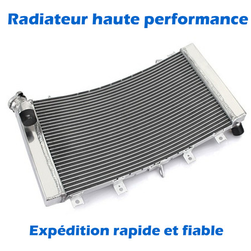 Radiateur refroidisseur - radiateur, de
