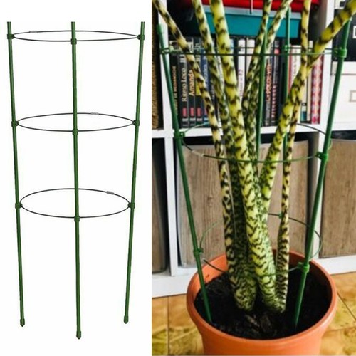 Support plante grimpante - support,