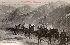 POSTCARD / TRANSPORT ON BACK OF MILET PLATEAU DU PORT DE FRAY MIQUEL 