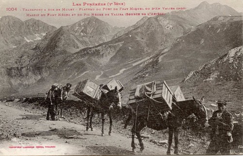 Carte postale transport a - carte,