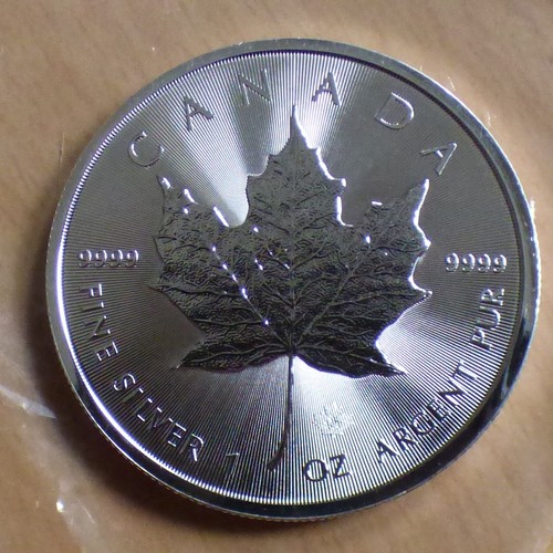 Canada maple leaf - leaf, 2025