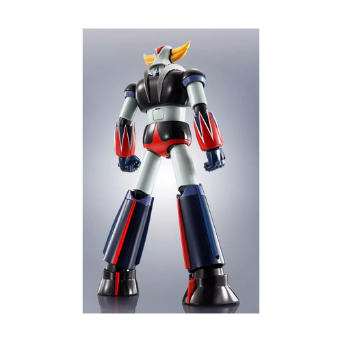 Tamashii nation robot - -, spirit
