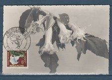 Madagascar carte 1er jour