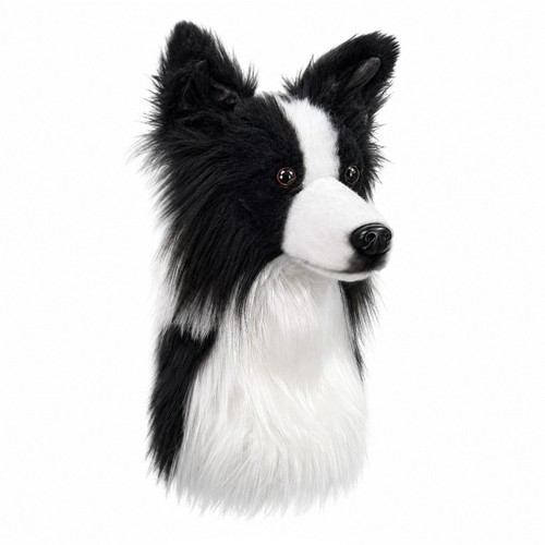 Border collie dog head - dog, golf