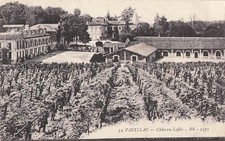 33 PAUILLAC CHATEAU LAFITE - 49888