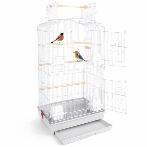Cage volière white bird - cage,