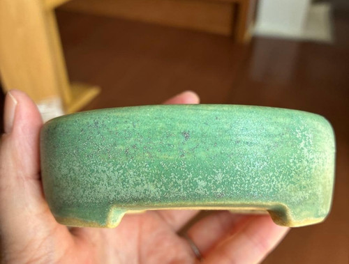 Pot bonsaï japonais saraku - à,