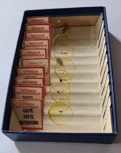 Coffret lames préparées - lames,