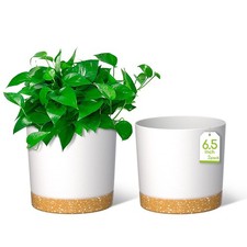 Pots de Fleurs de 16,5cm