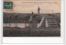 L'élevage en Perche - Domaine de la Touche - La passerelle et les Poulains -