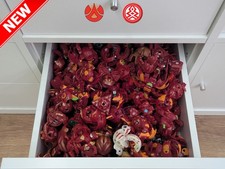 Bakugan - Pyrus Collection