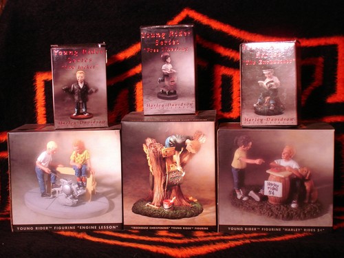 Harley young rider series - harley,