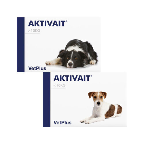 Aktivait chien supplément - chien,