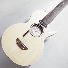 Guitare électrique acoustique