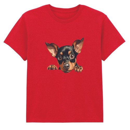 Miniature pinscher peeking dog - miniature,