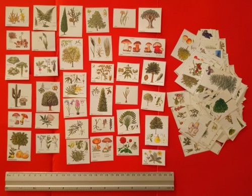 Pack ephemera 100 - ⭐️,