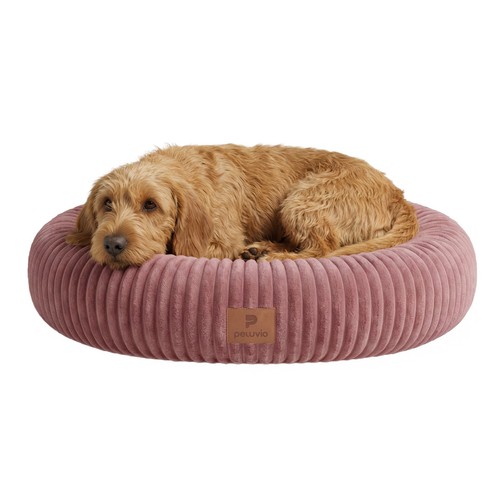 Lit pour chien chat - pour, chien/chat,