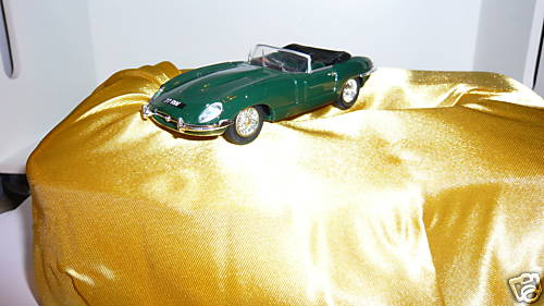Jaguar type reedition - jaguar,
