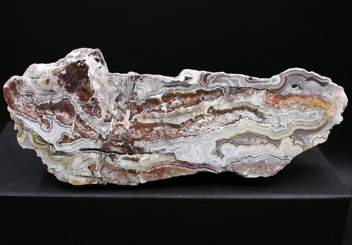 Agate polie crazy lace - agate,