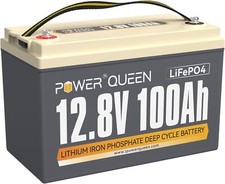 1/2/3/4 Pièce Batterie Lithium 12V 100Ah Batterie LiFePO4 avec BMS 100A & Marine