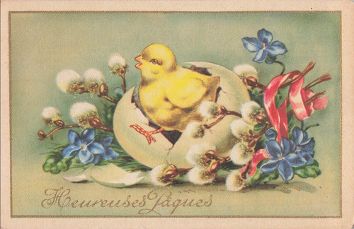 Illustree paques poussin - illustree,