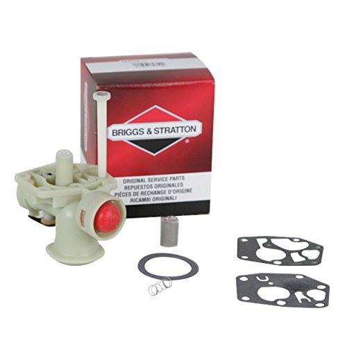 Carburateur briggs stratton - carburateur,