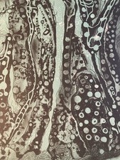 Très Belle Lithographie