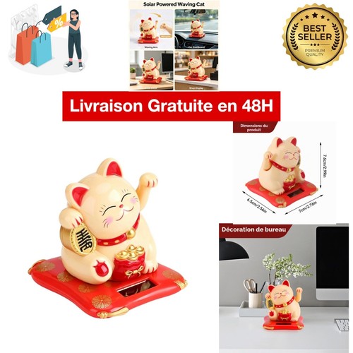 Chat maneki neko - chat,