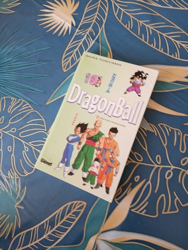 Livre manga dragon ball - livre,